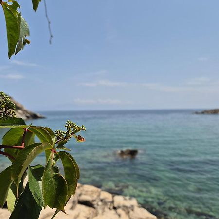 Beach Apartment PalaiónTsiflíkion エクステリア 写真