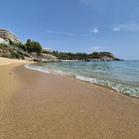 Beach Apartment PalaiónTsiflíkion エクステリア 写真
