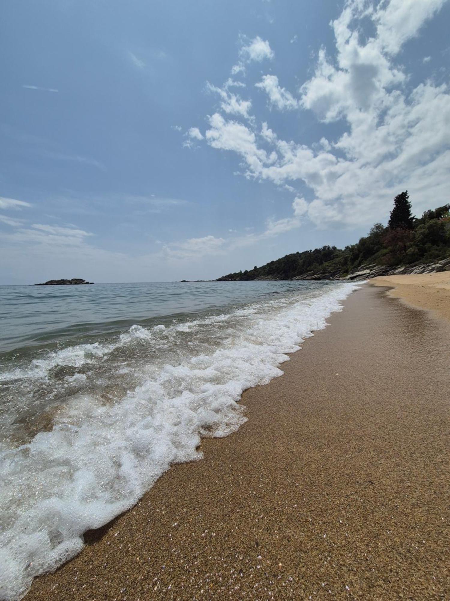 Beach Apartment PalaiónTsiflíkion エクステリア 写真