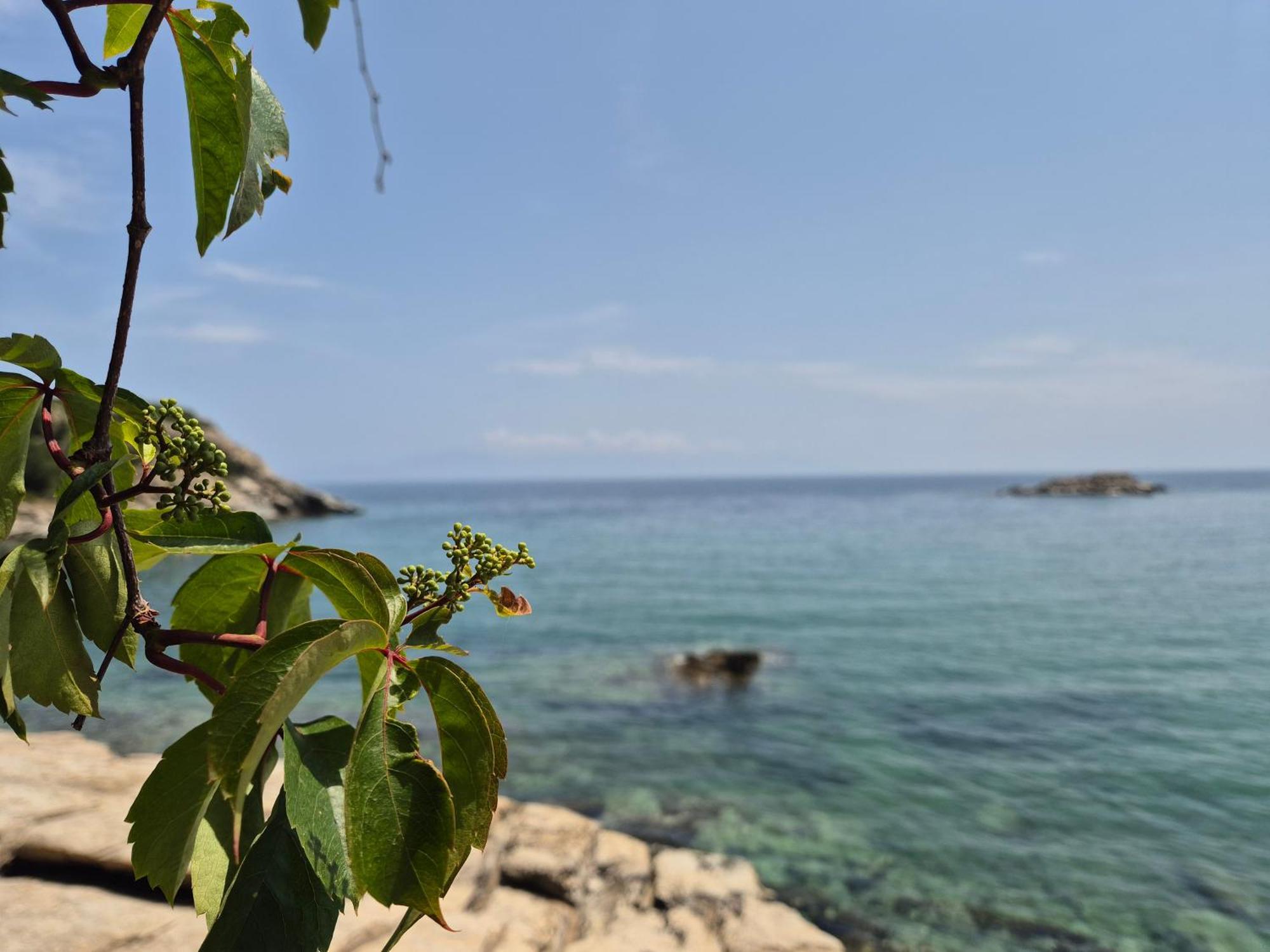 Beach Apartment PalaiónTsiflíkion エクステリア 写真